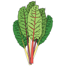Load image into Gallery viewer, Rainbow Swiss Chard