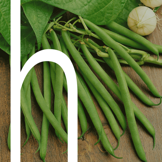 Beans (Pole)