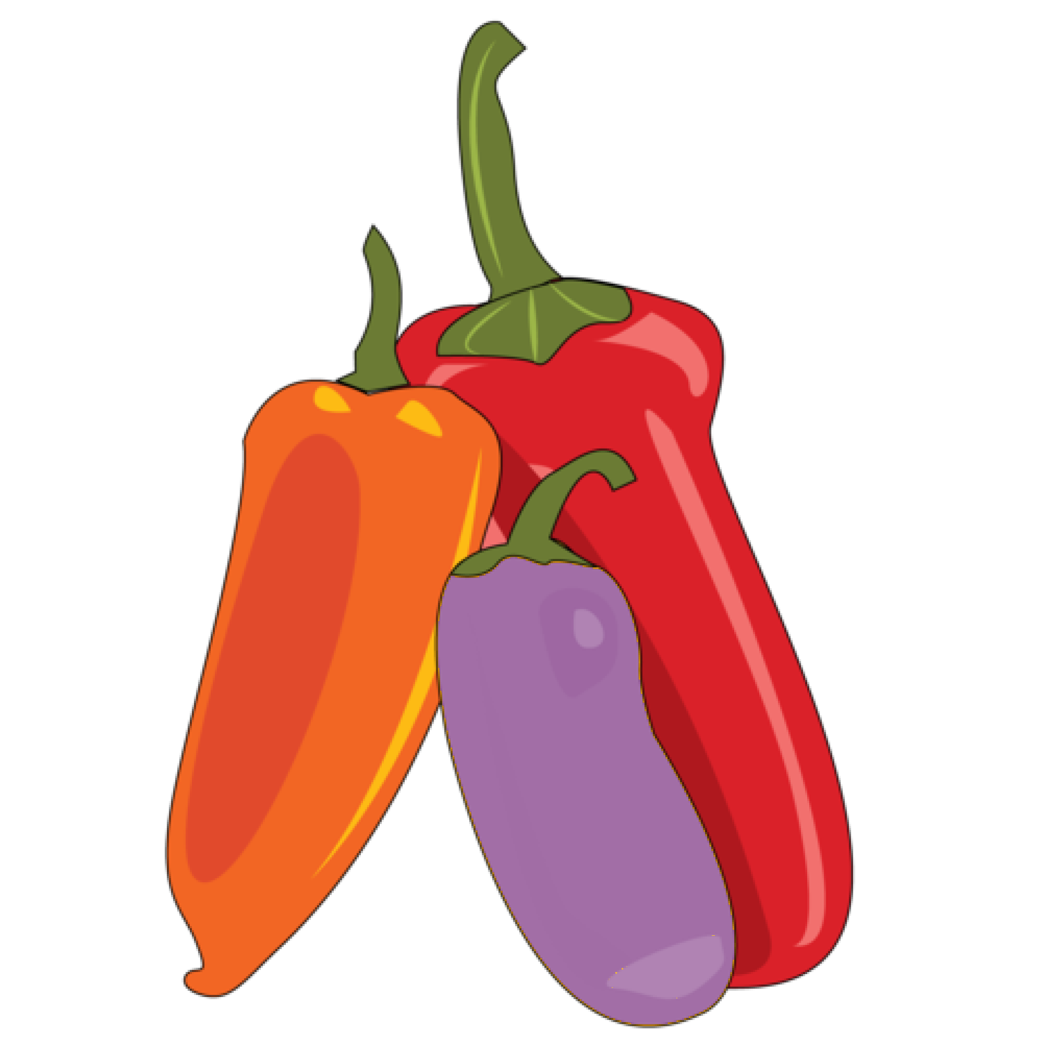 Rainbow Bell Peppers