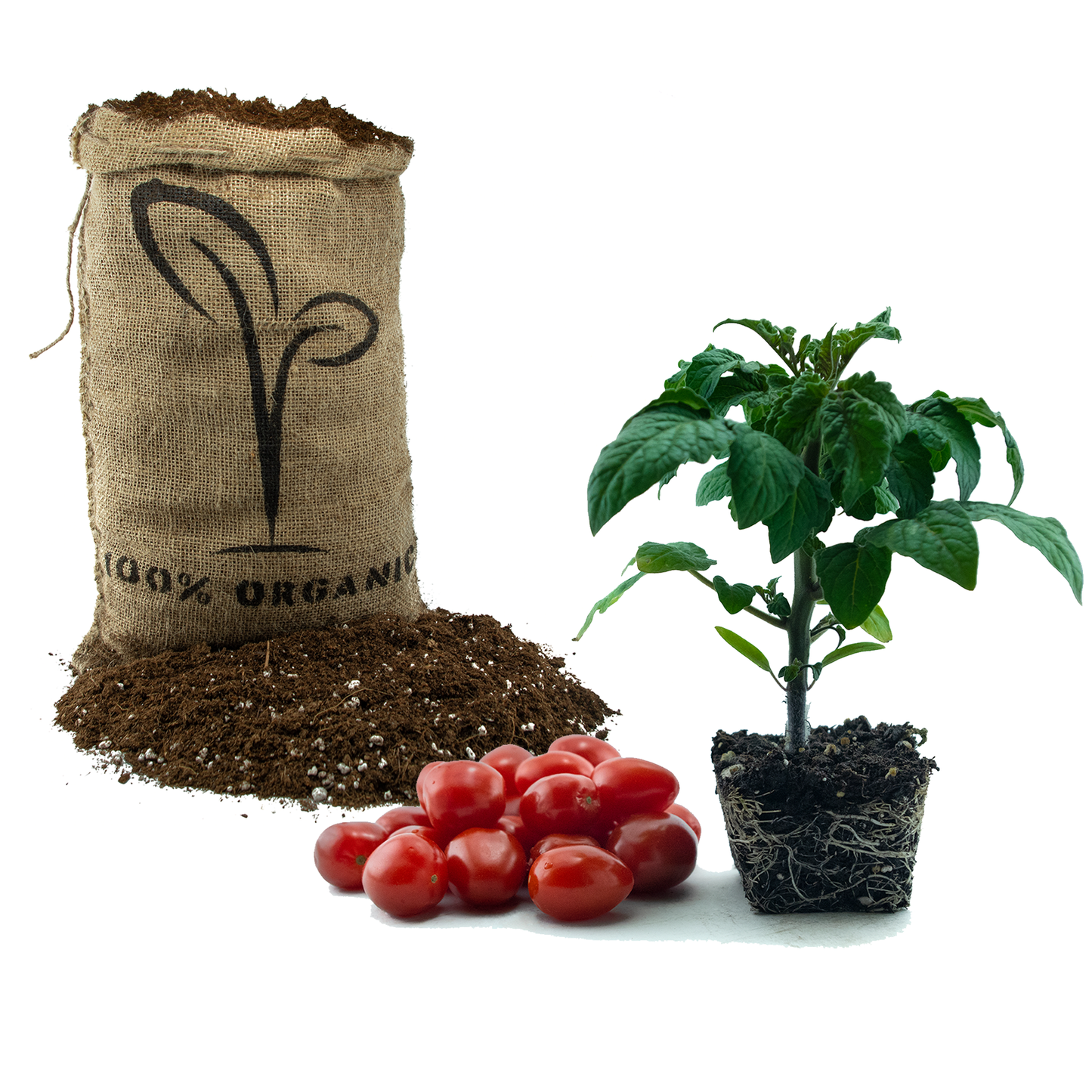 Tidy Treats with Organic Potting Mix