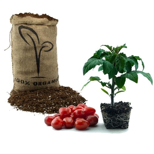 Tidy Treats with Organic Potting Mix
