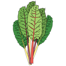 Load image into Gallery viewer, Rainbow Swiss Chard - TOCA
