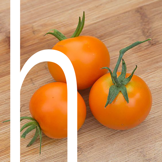Jaune Flamme Heirloom Tomato